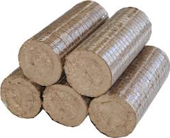 Bio Coal
